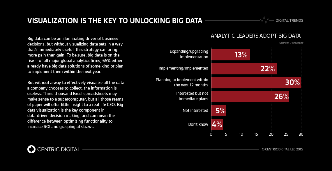 How to Use Big Data Visualization to Make Digital Strategy Decisions infographic
